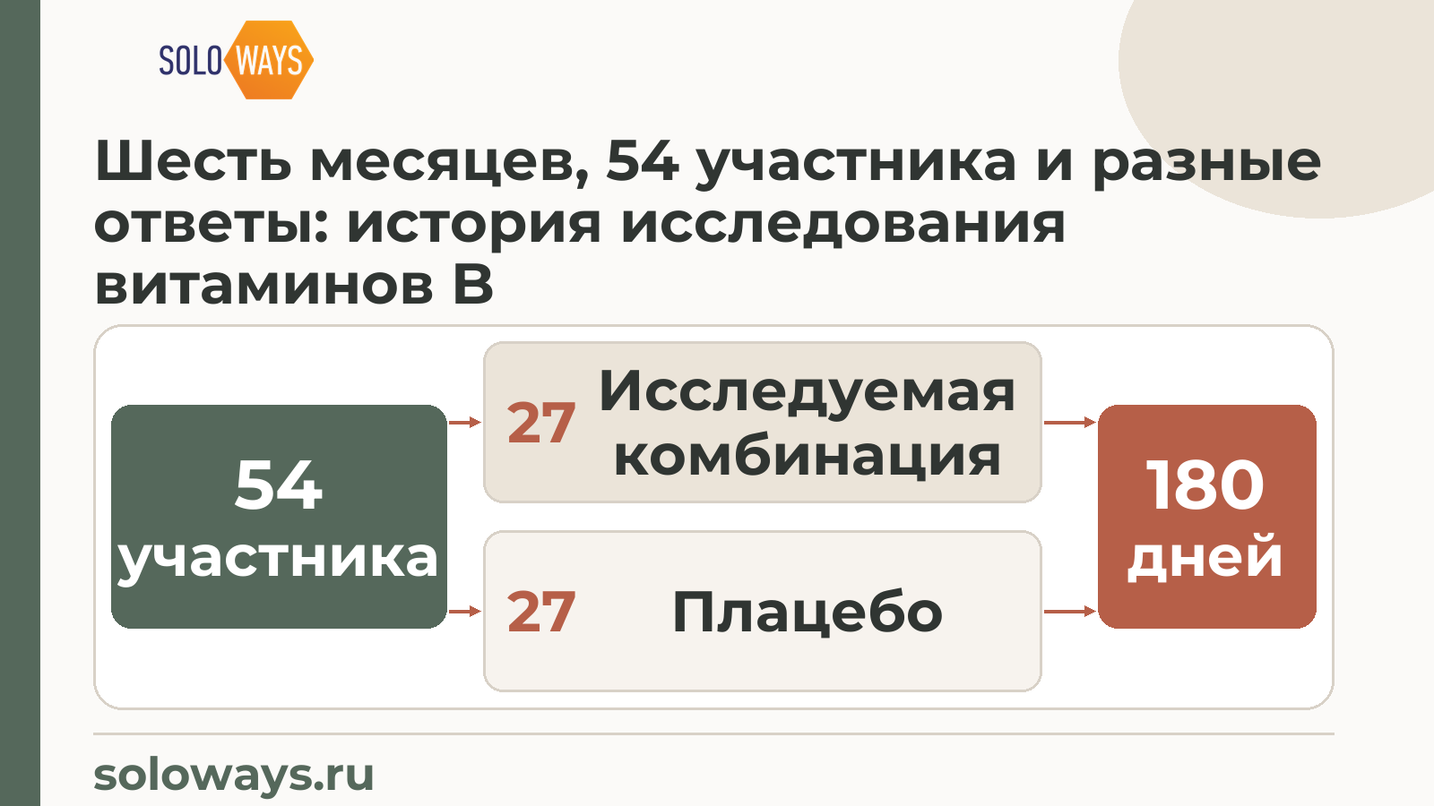 Шесть месяцев, 54 участника и разные ответы: история исследования витаминов B