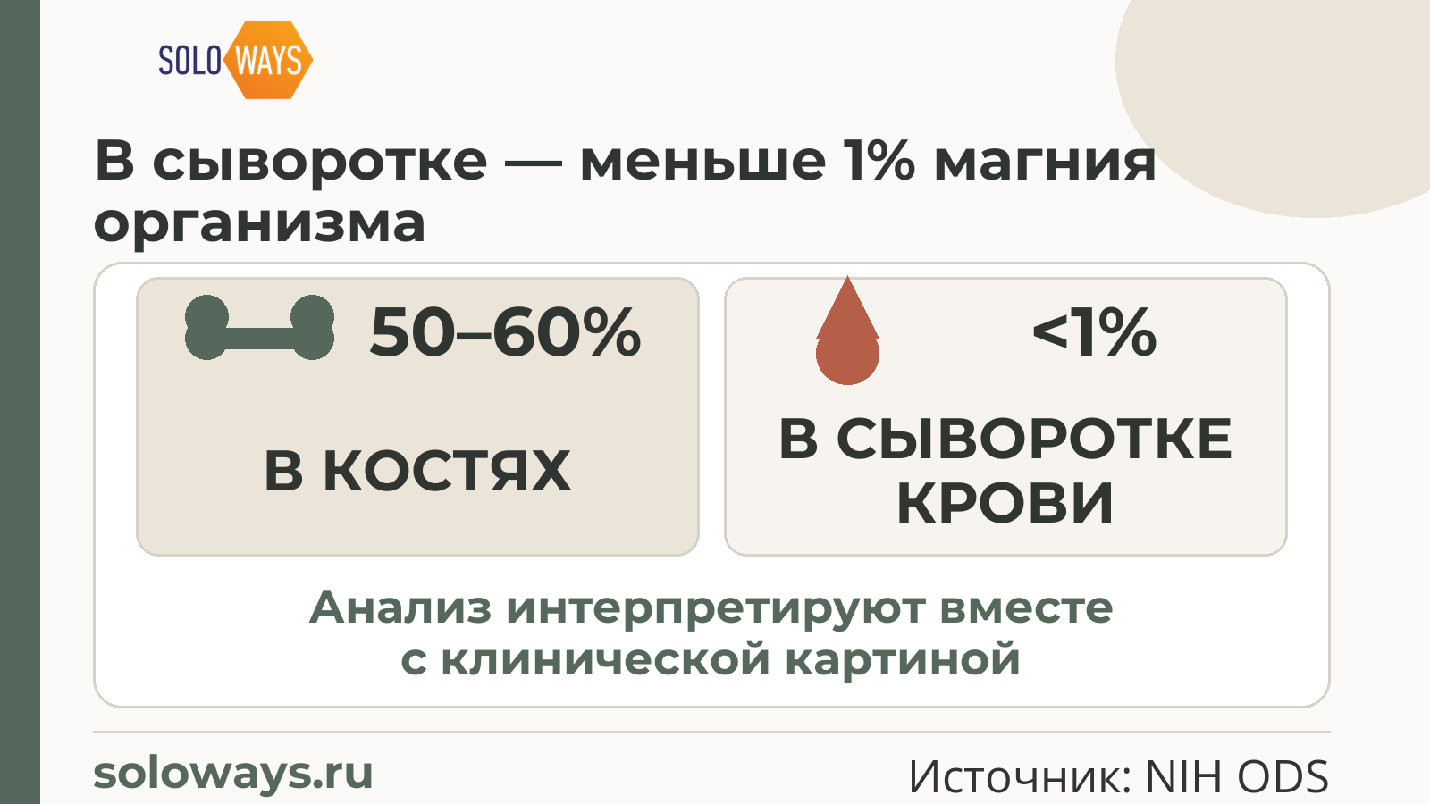 В сыворотке — меньше 1% магния организма