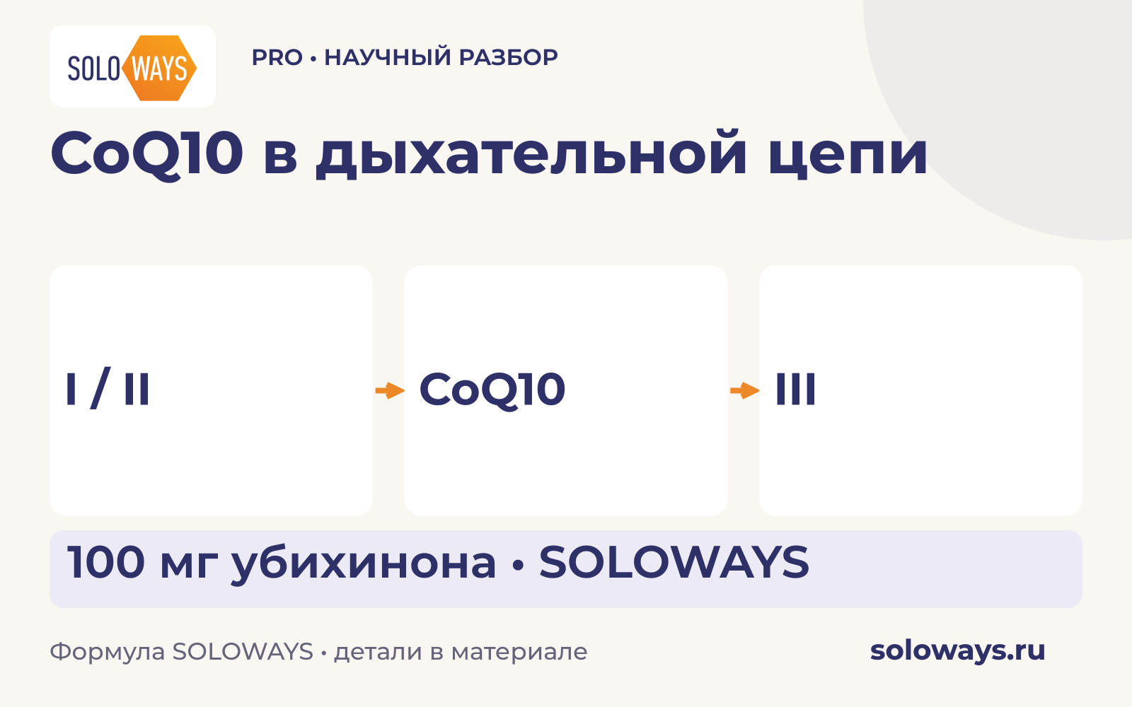 CoQ10 в дыхательной цепи