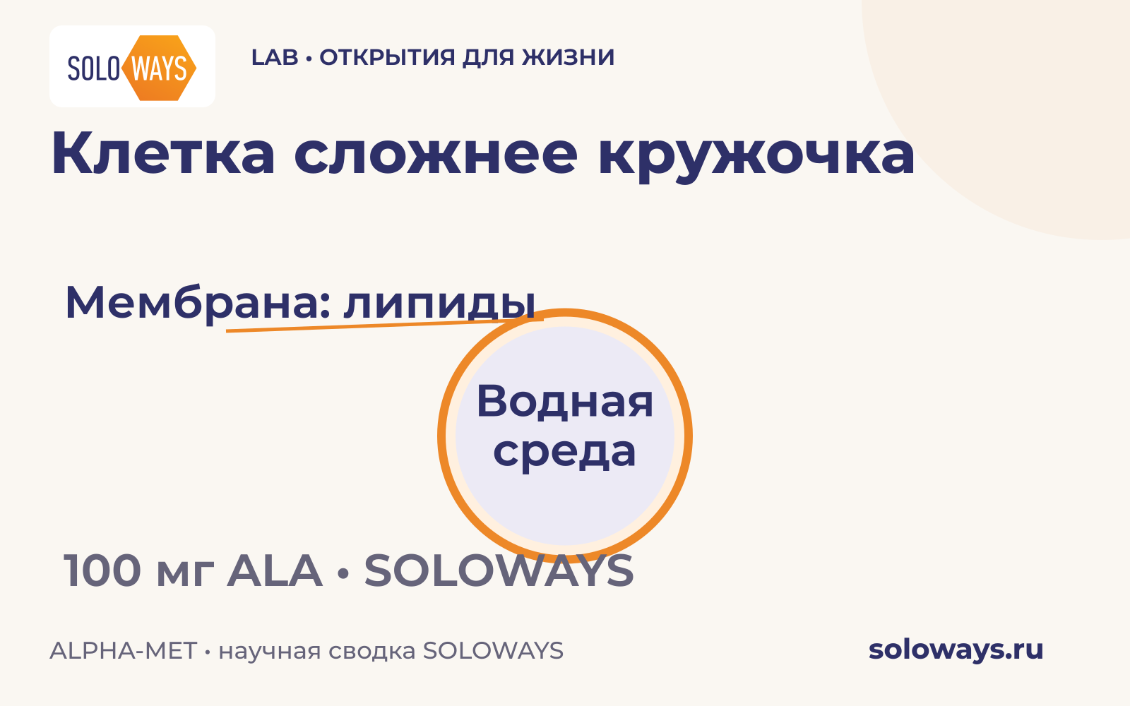 Клетка сложнее кружочка